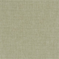 Premier FR Drapery Fabric, Fungi